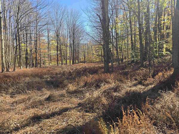 5.77 Acres of Residential Land for Sale in Davis, West Virginia