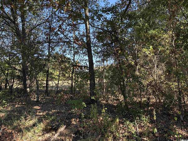 20.3 Acres of Land for Sale in Higginson, Arkansas