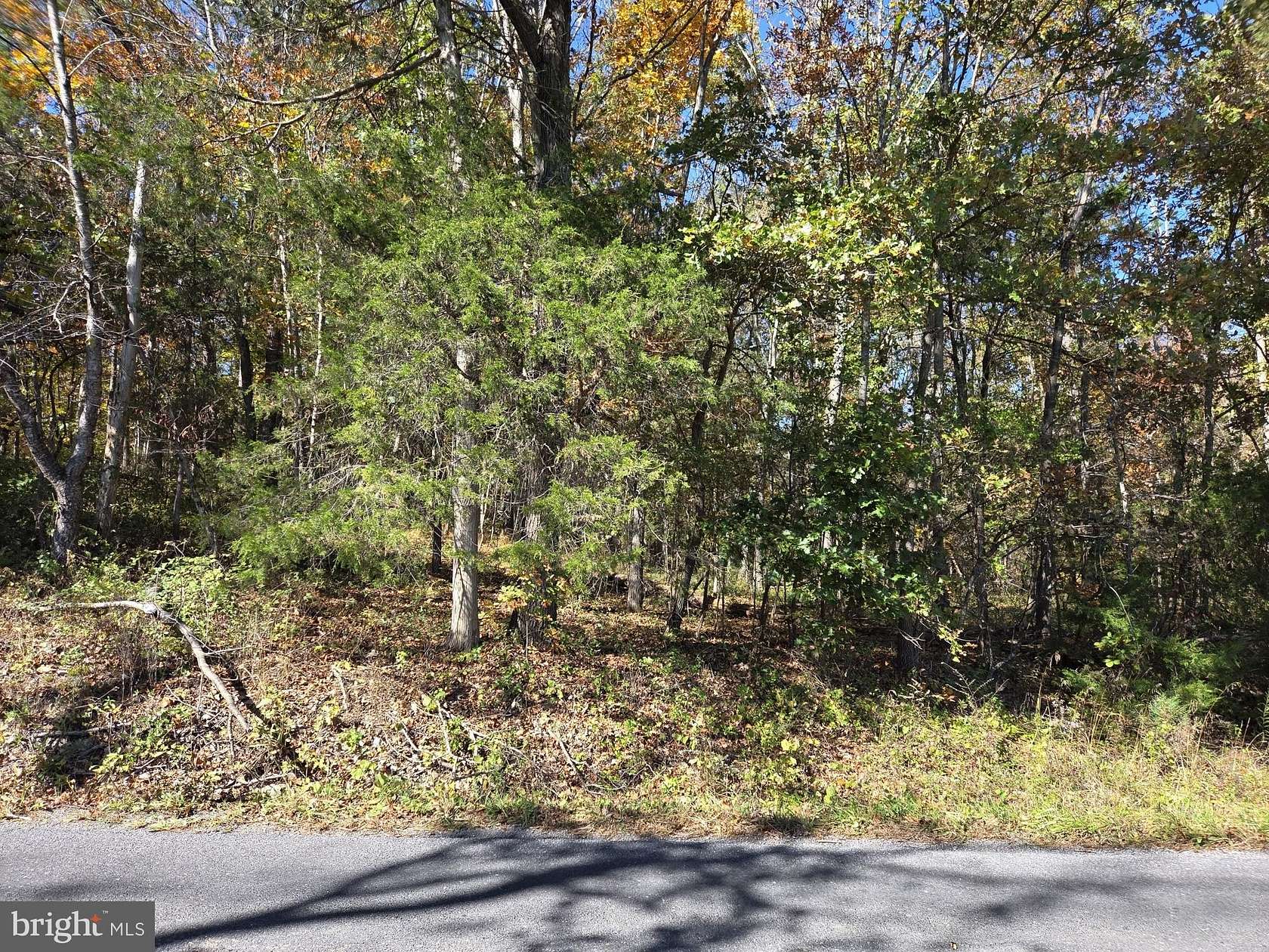 12.7 Acres of Land for Sale in Luray, Virginia
