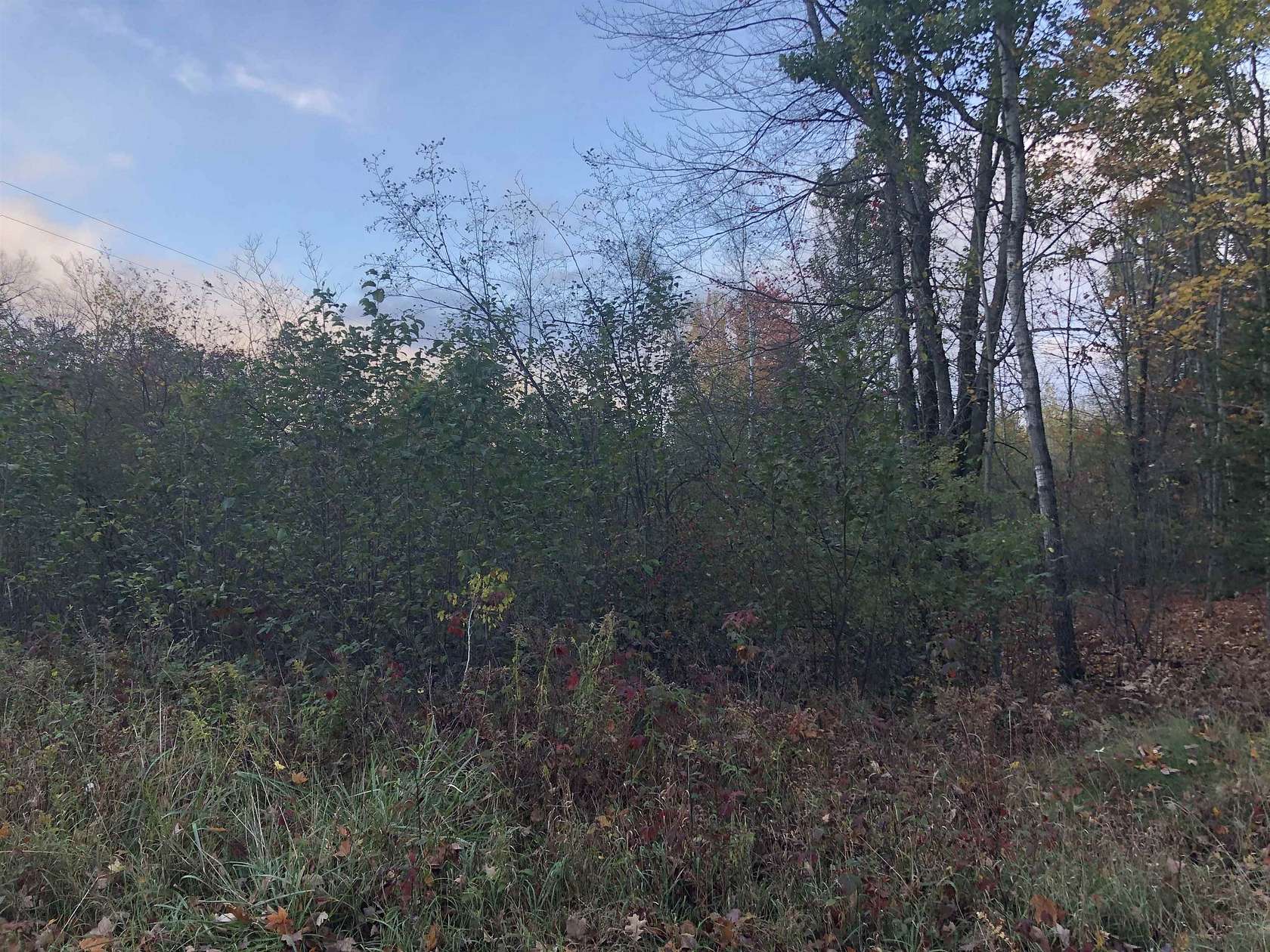 0.71 Acres of Land for Sale in Lake, Michigan