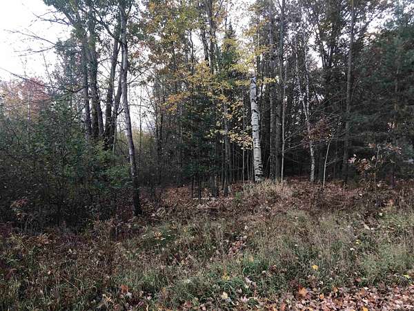 0.71 Acres of Land for Sale in Lake, Michigan