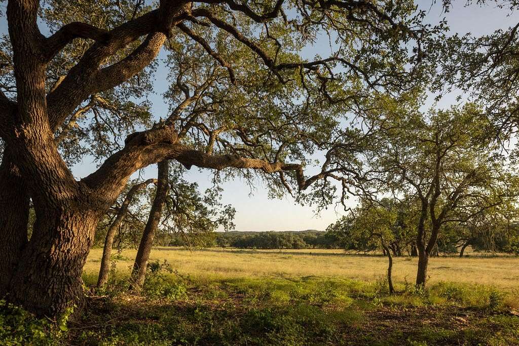 10 Acres of Land for Sale in Dripping Springs, Texas