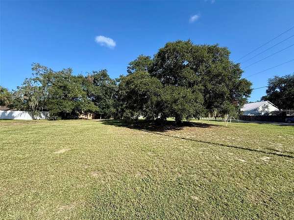 0.31 Acres of Residential Land for Sale in Eustis, Florida
