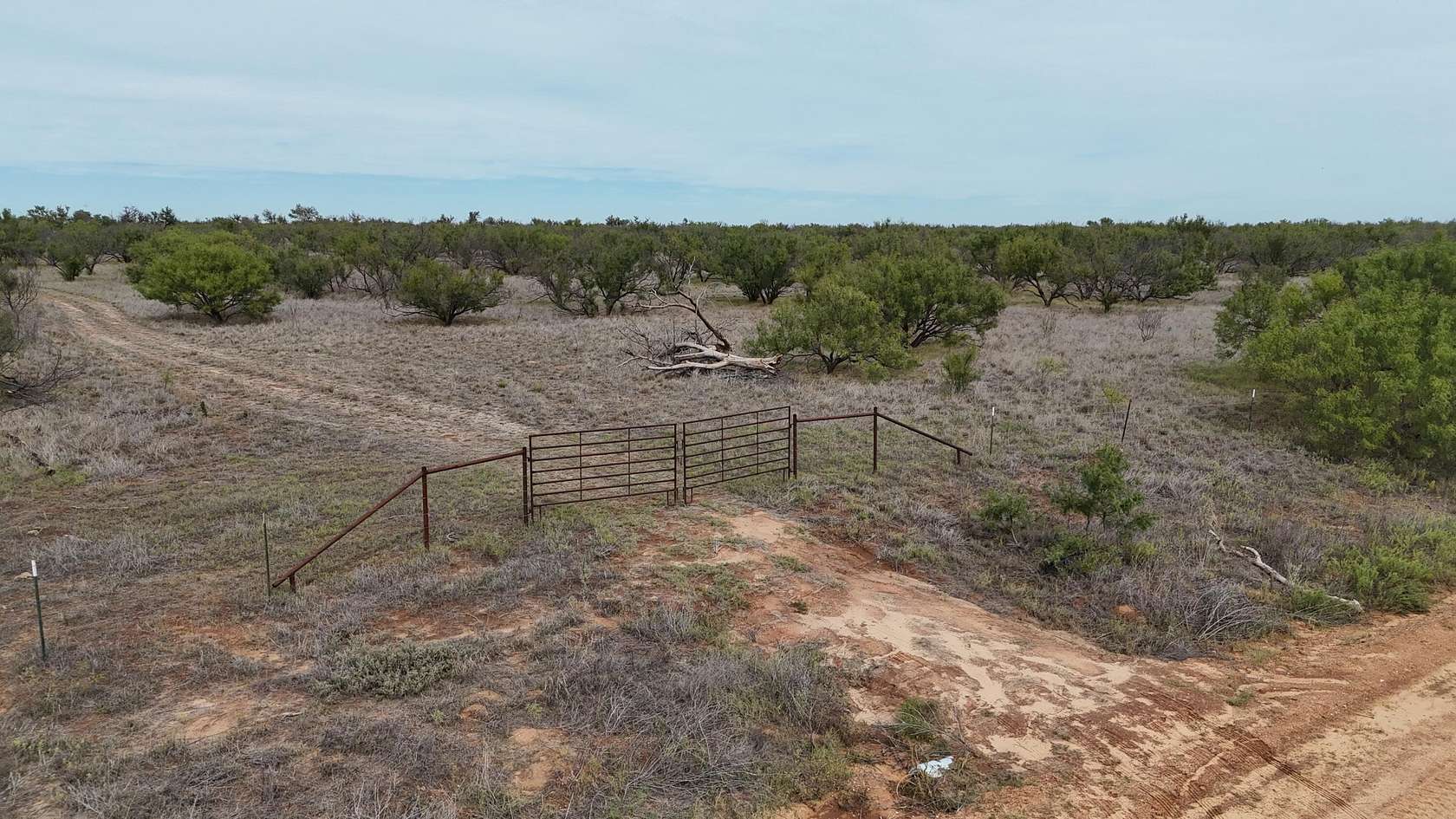 143 Acres of Land for Sale in Afton, Texas