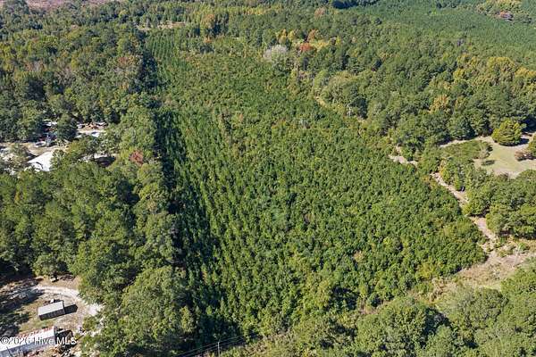 15.9 Acres of Land for Sale in Hamlet, North Carolina