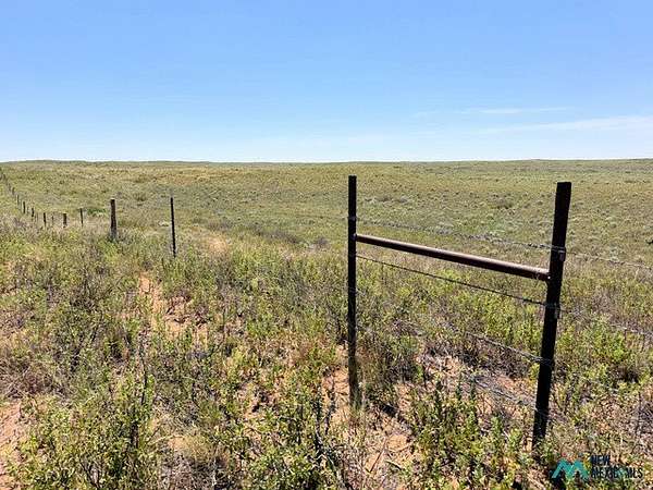 2,967 Acres of Agricultural Land for Sale in Portales, New Mexico