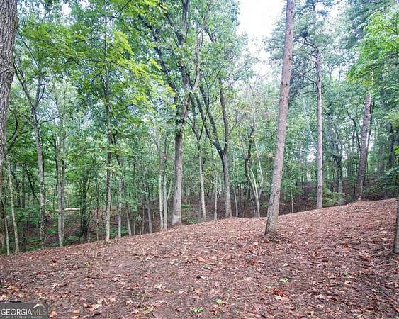 3.1 Acres of Residential Land for Sale in Ranger, Georgia