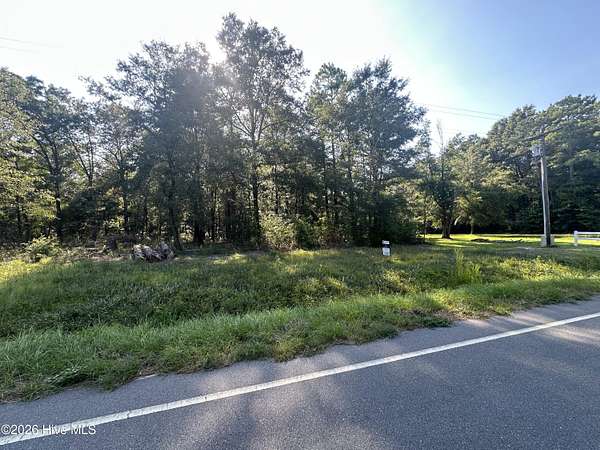 0.96 Acres of Residential Land for Sale in Ivanhoe, North Carolina