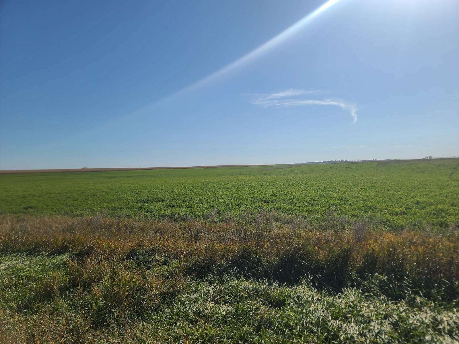 200 Acres of Land for Sale in Bottineau, North Dakota