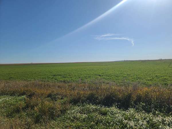 200 Acres of Land for Sale in Bottineau, North Dakota