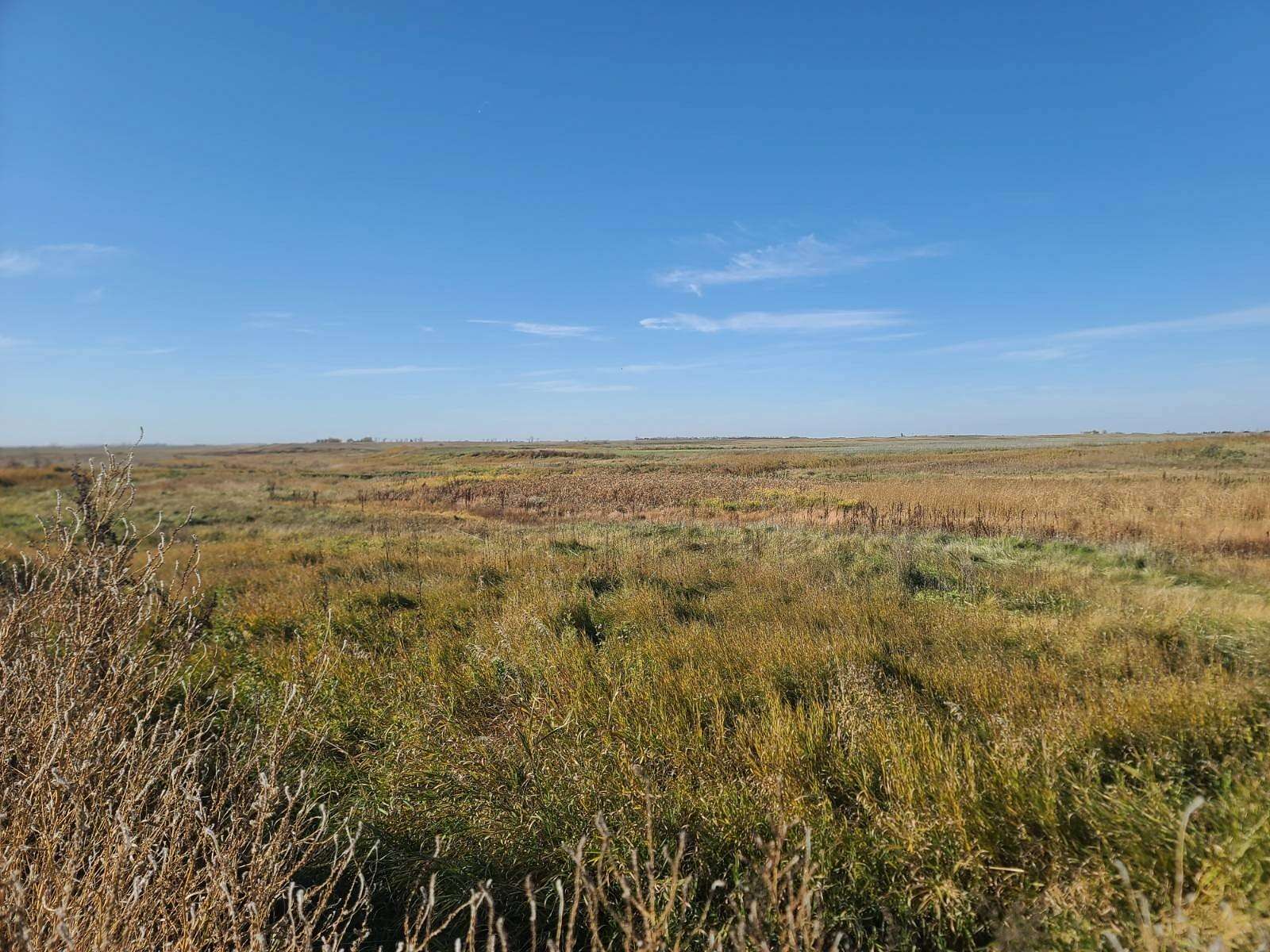 60 Acres of Recreational Land for Sale in Bottineau, North Dakota