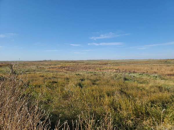 60 Acres of Recreational Land for Sale in Bottineau, North Dakota