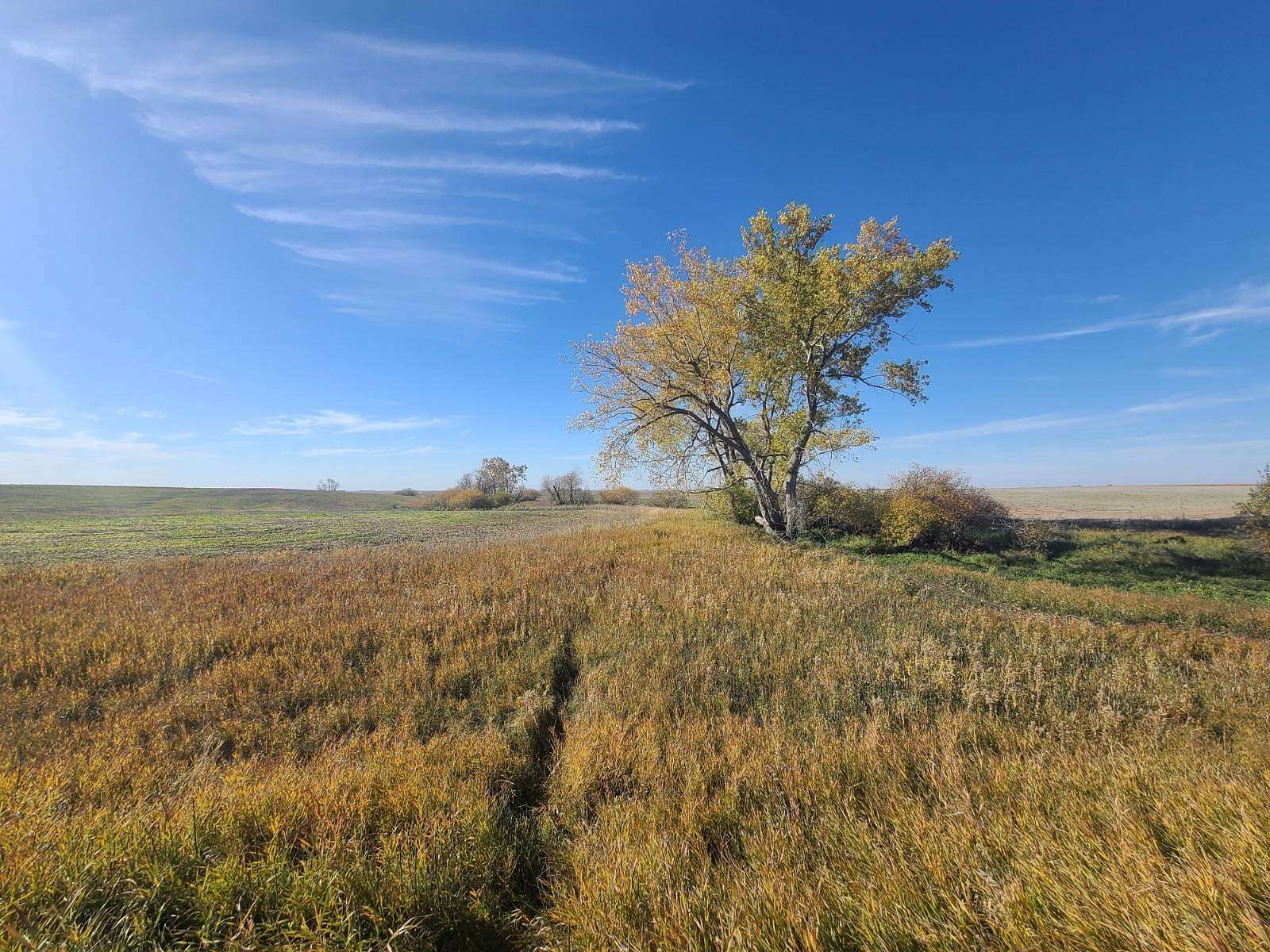 20 Acres of Recreational Land for Sale in Bottineau, North Dakota