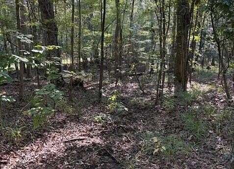 100 Acres of Recreational Land for Sale in Eufaula, Alabama