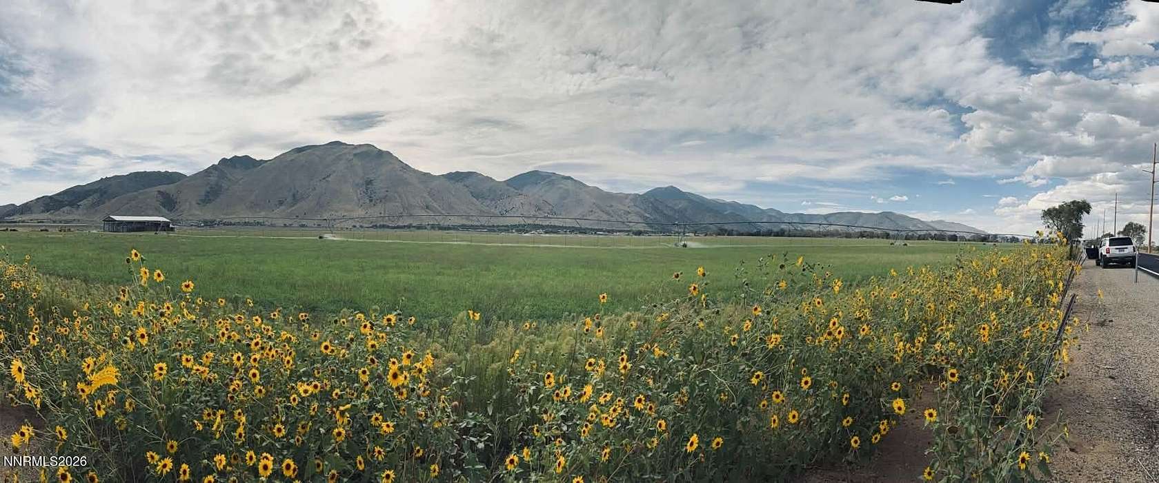 20 Acres of Land for Sale in Wellington, Nevada