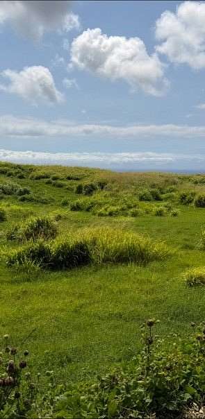 8 Acres of Residential Land for Sale in Nāʻālehu, Hawaii