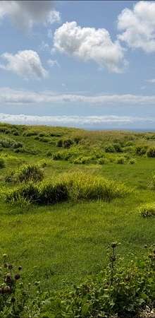 8 Acres of Residential Land for Sale in Nāʻālehu, Hawaii