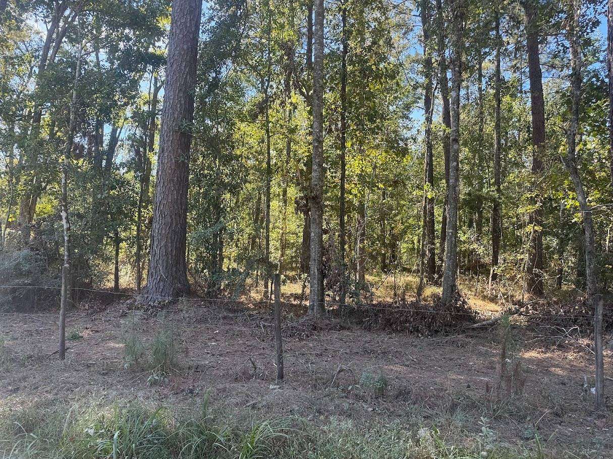 2.9 Acres of Residential Land for Sale in Denham Springs, Louisiana