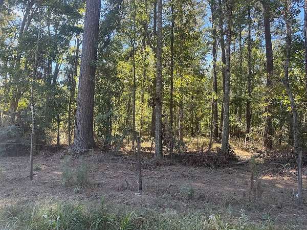 2.9 Acres of Residential Land for Sale in Denham Springs, Louisiana
