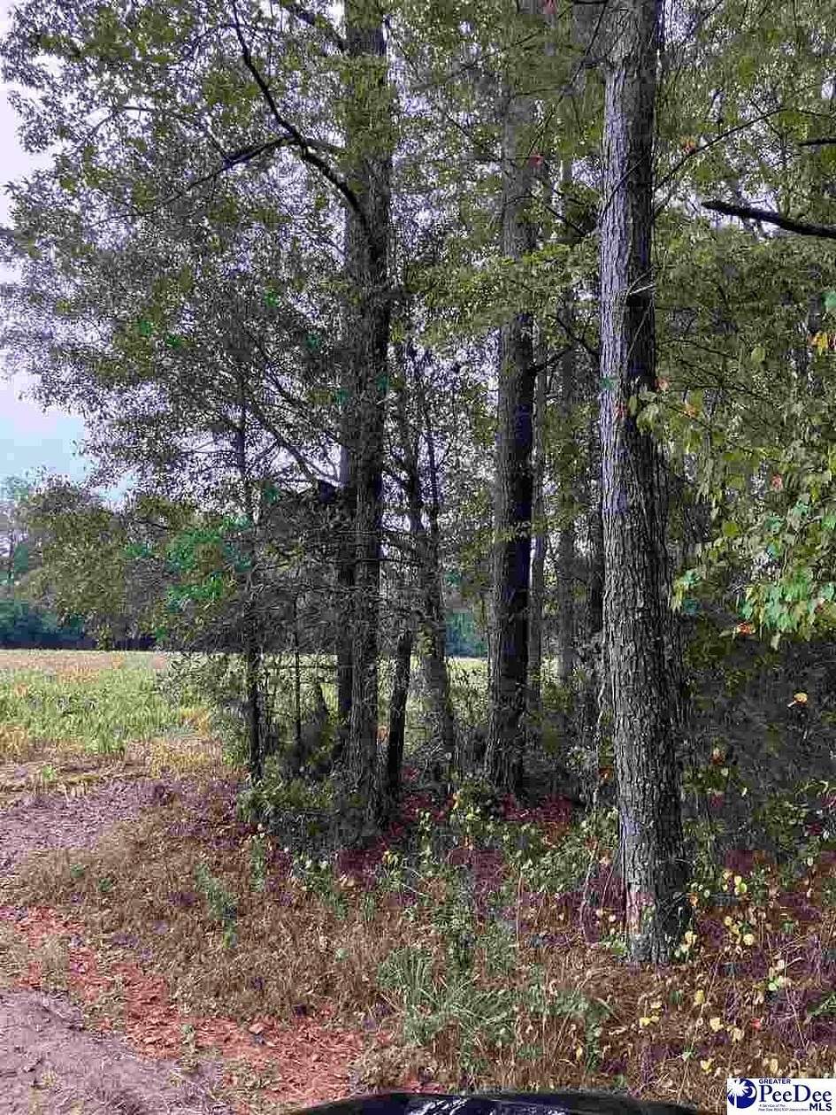 3.5 Acres of Residential Land for Sale in Mullins, South Carolina