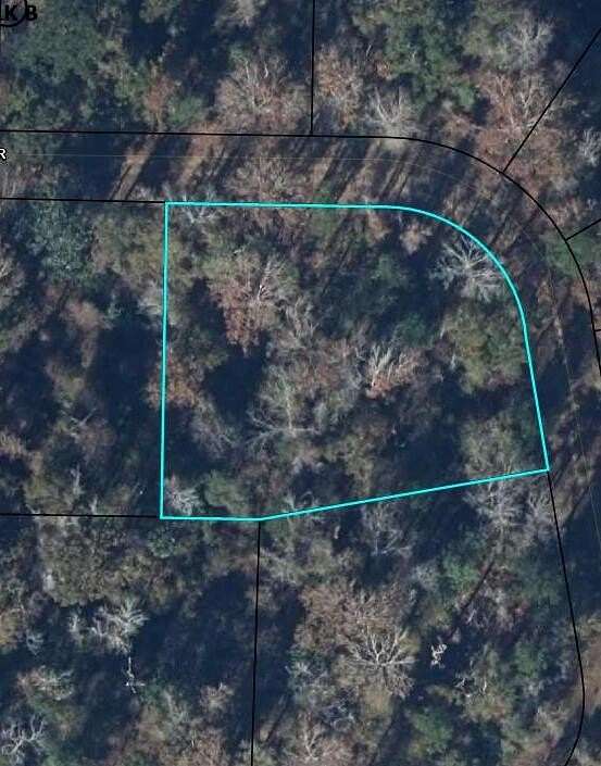 0.55 Acres of Land for Sale in Wewahitchka, Florida