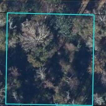 0.5 Acres of Land for Sale in Wewahitchka, Florida