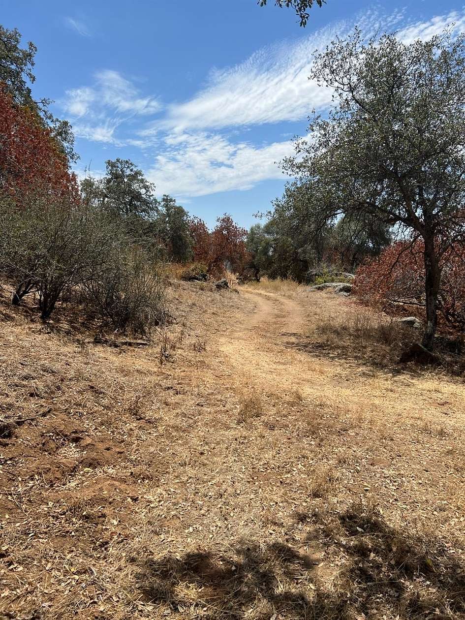 7.28 Acres of Land for Sale in Squaw Valley, California