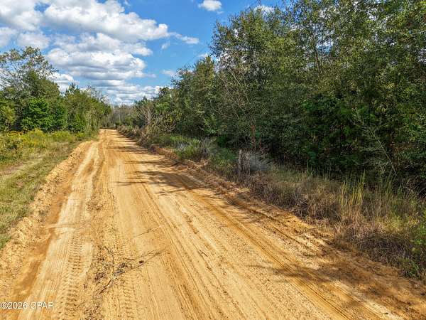 31 Acres of Recreational & Residential Land for Sale in Marianna, Florida