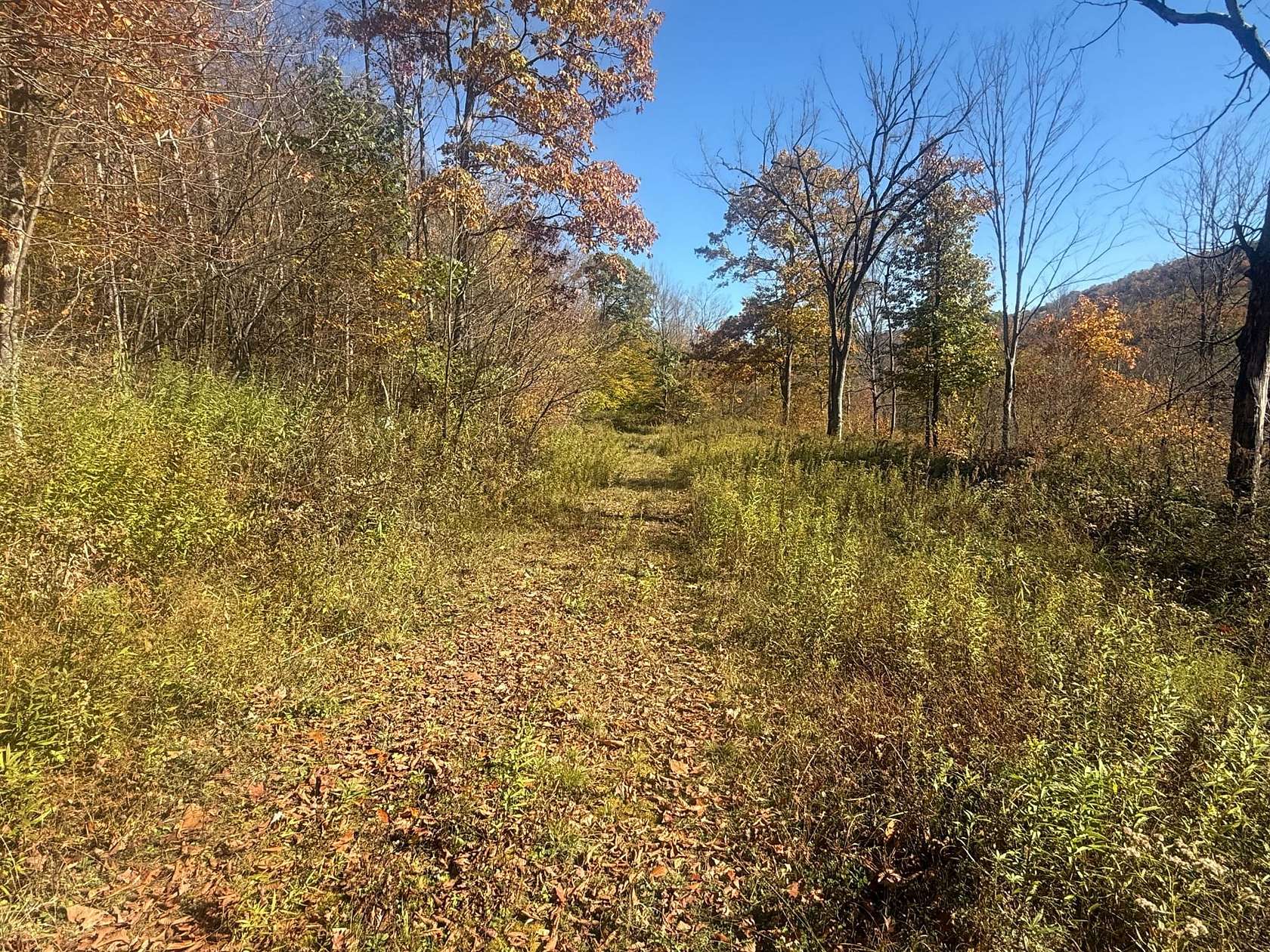 103 Acres of Recreational Land for Sale in Eldred, Pennsylvania