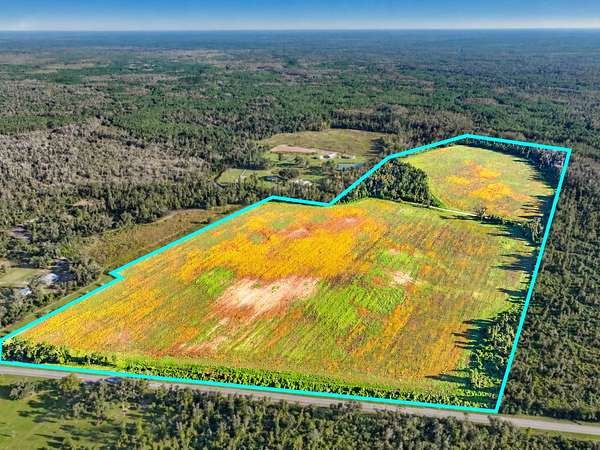68.7 Acres of Land for Sale in Madison, Florida