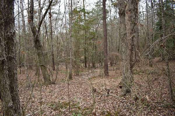 10 Acres of Recreational & Residential Land for Sale in Camden, Arkansas