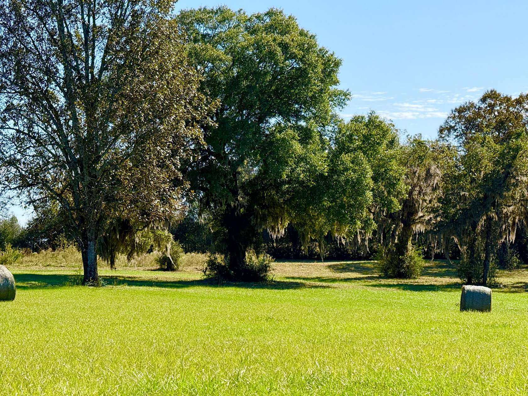 16 Acres of Land for Sale in Ponce de Leon, Florida