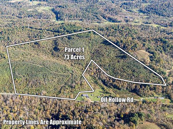 9 Acres of Recreational Land for Auction in Gallipolis, Ohio