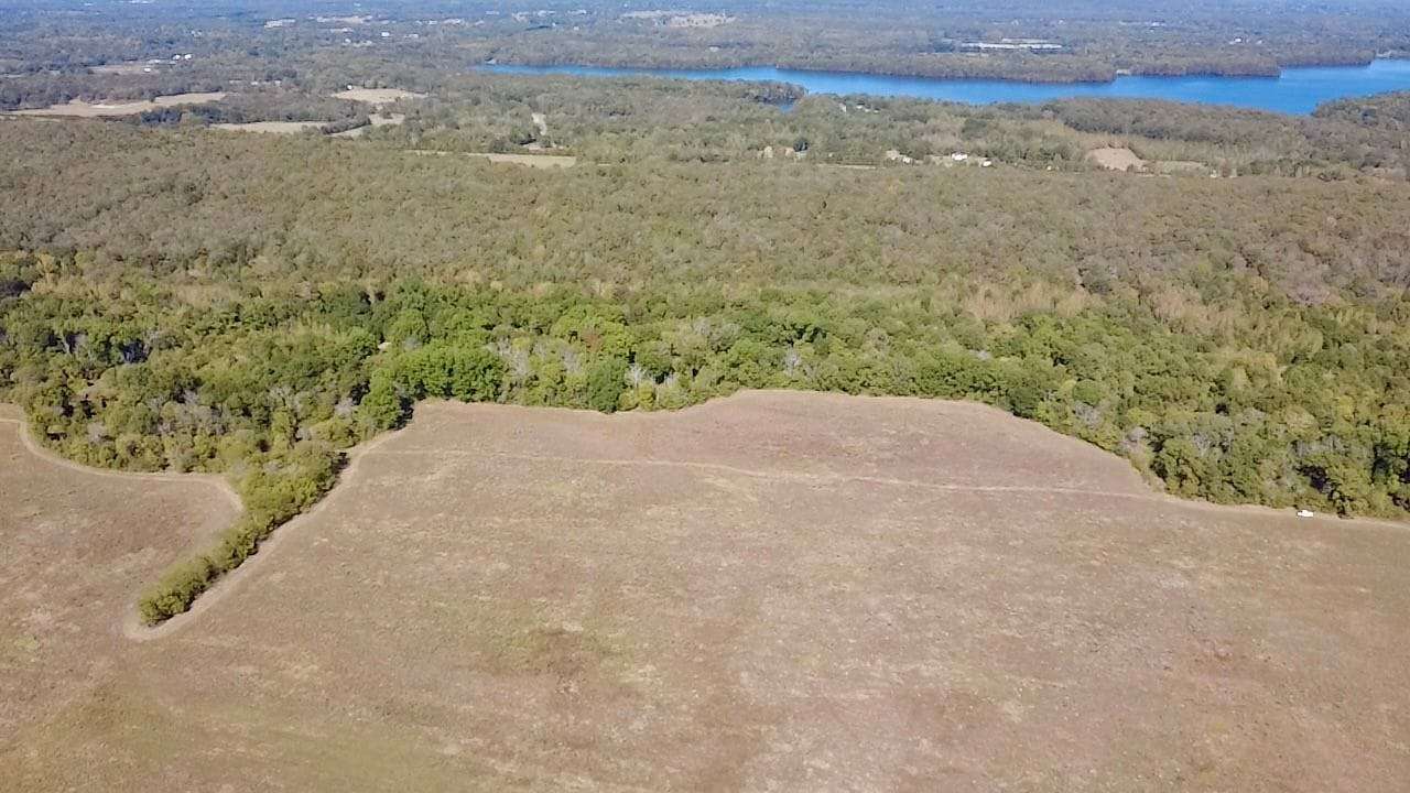 40 Acres of Land for Sale in Atkins, Arkansas