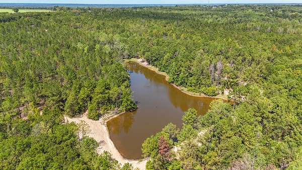 36 Acres of Recreational & Residential Land for Sale in Castleberry, Alabama