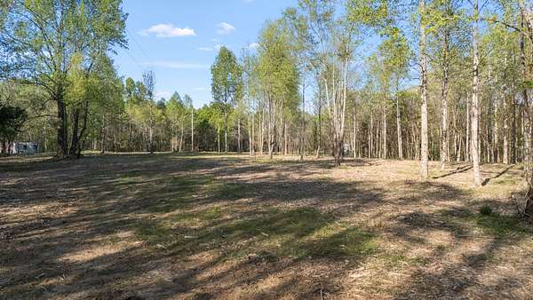 181 Acres of Agricultural Land for Sale in Normandy, Tennessee
