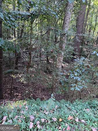1 Acre of Residential Land for Sale in Stockbridge, Georgia