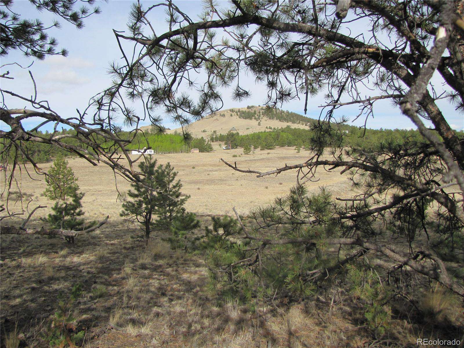 10.2 Acres of Land for Sale in Hartsel, Colorado