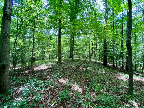 63 Acres of Recreational & Residential Land for Sale in Northport, Alabama
