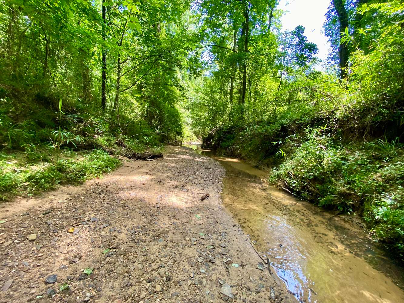 56 Acres of Recreational & Residential Land for Sale in Northport, Alabama