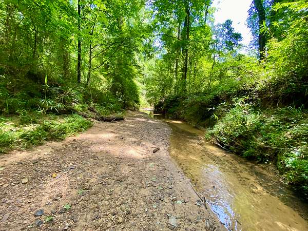 56 Acres of Recreational & Residential Land for Sale in Northport, Alabama