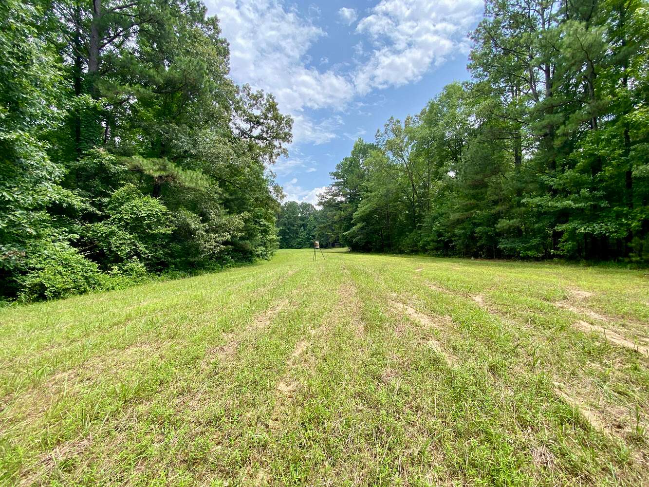 61 Acres of Recreational & Residential Land for Sale in Northport, Alabama