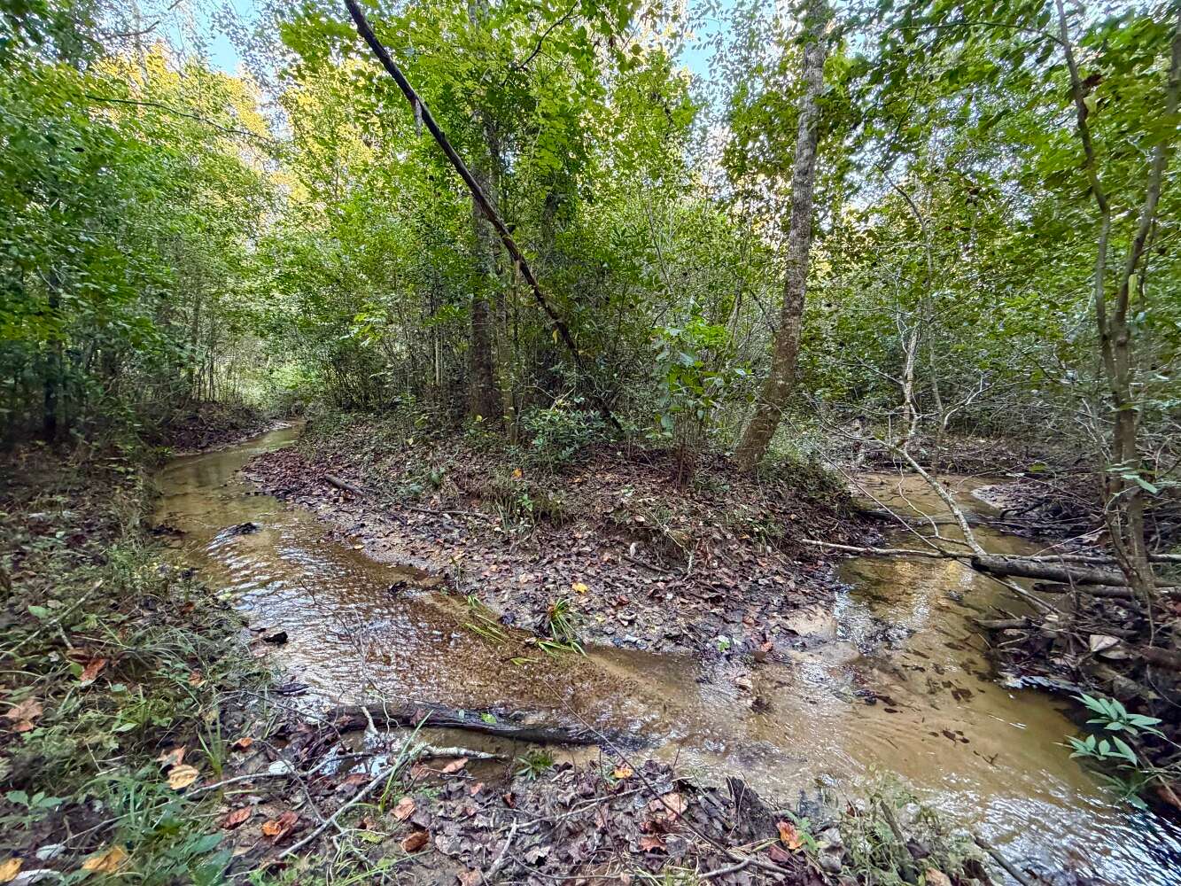 40 Acres of Recreational Land for Sale in Jackson, Alabama