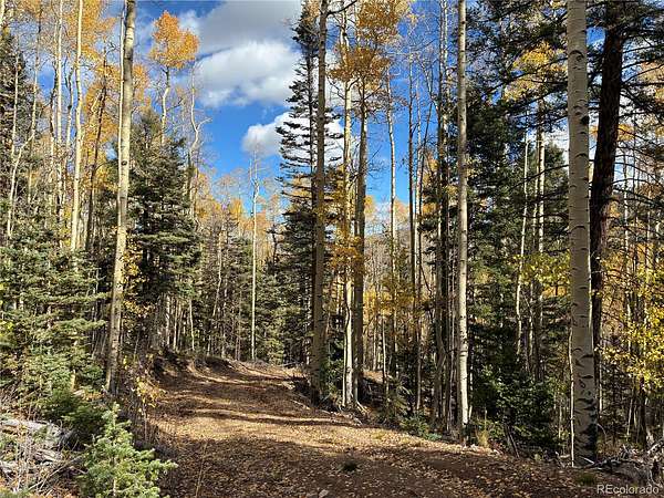 5.7 Acres of Land for Sale in San Luis, Colorado