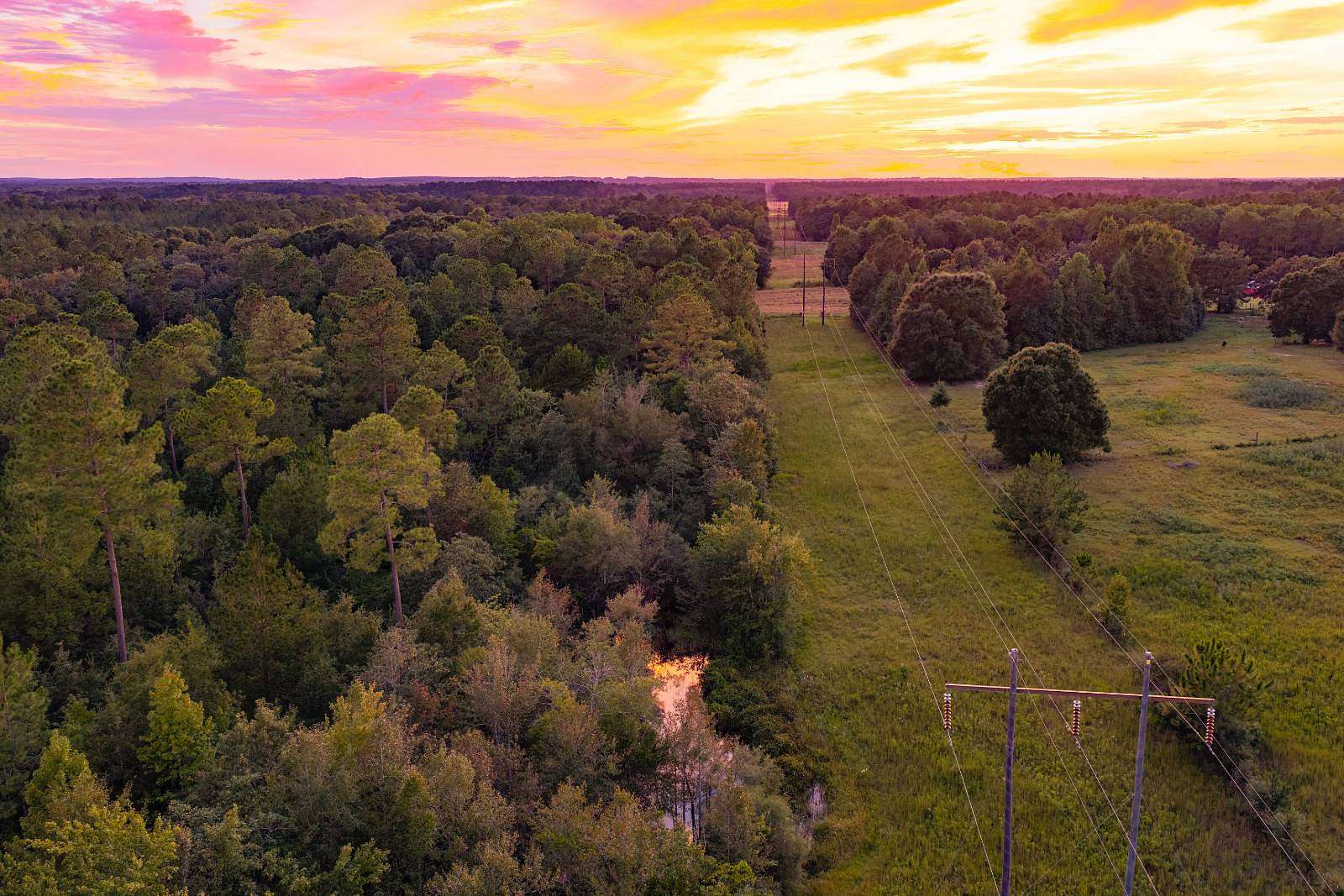 62 Acres of Recreational Land for Sale in Samson, Alabama
