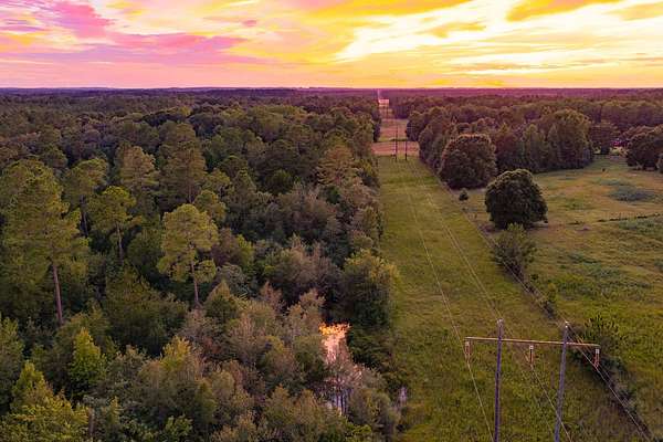 62 Acres of Recreational Land for Sale in Samson, Alabama