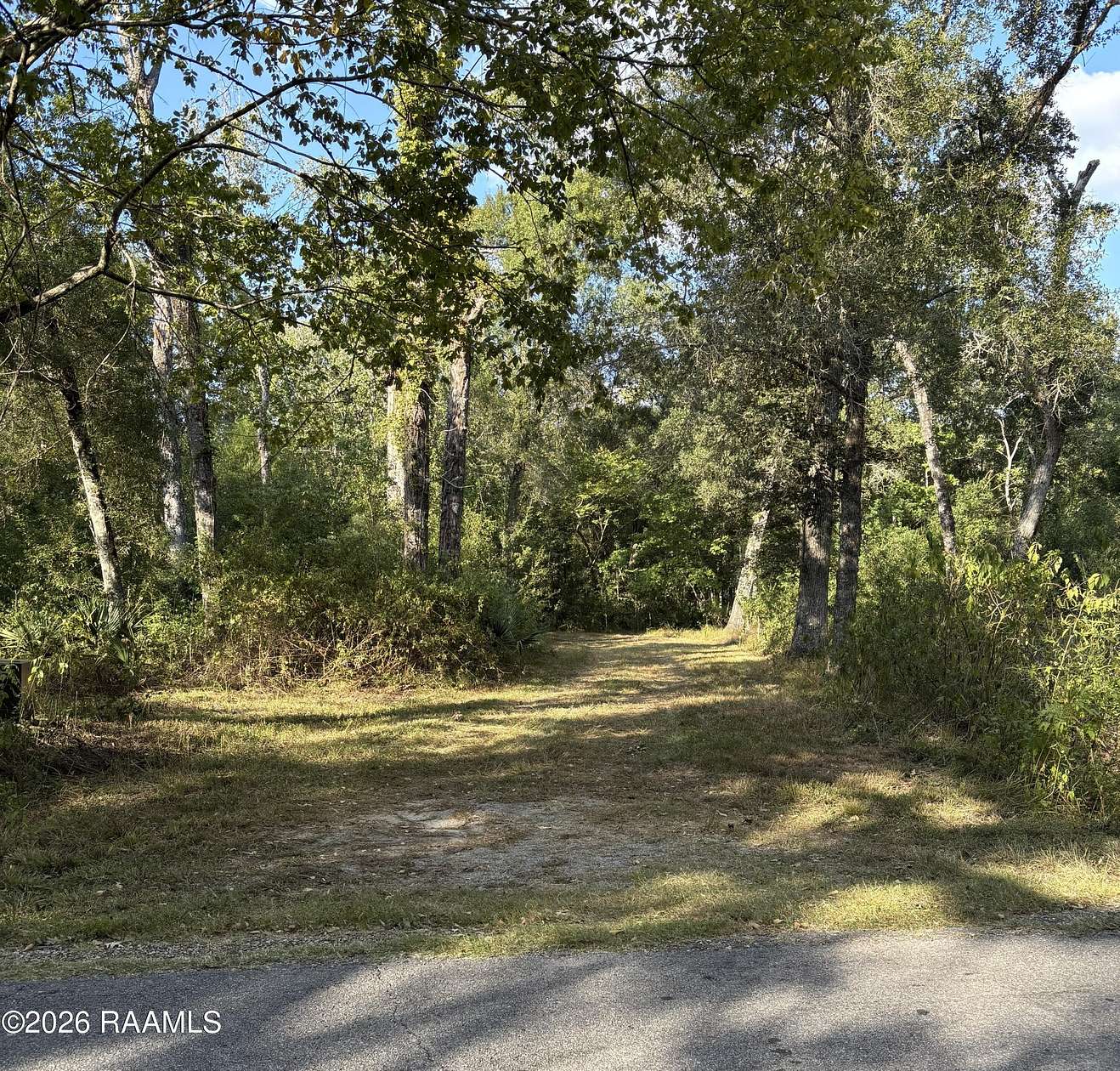 6 Acres of Mixed-Use Land for Sale in Abbeville, Louisiana