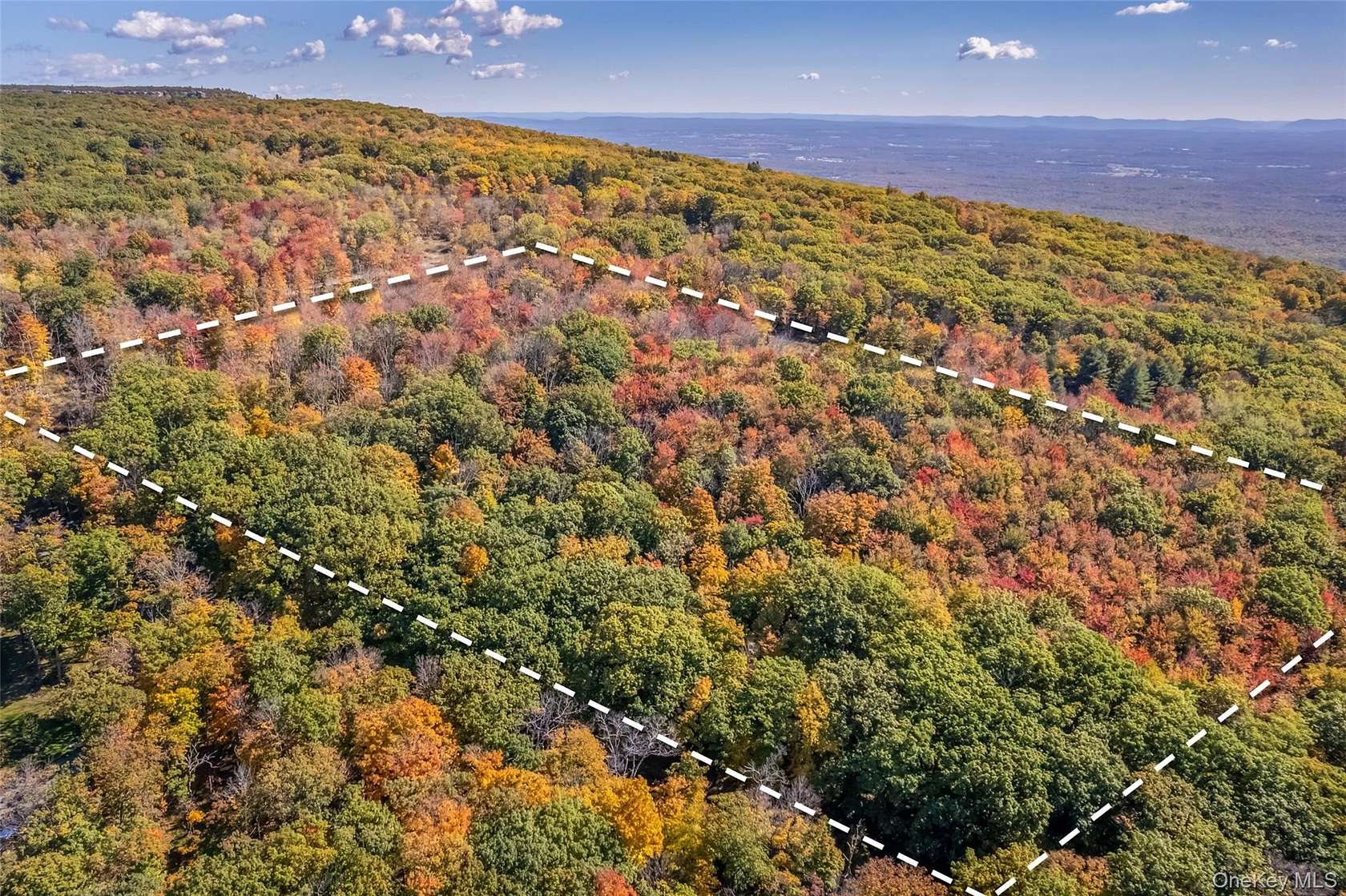 13.6 Acres of Land for Sale in Cragsmoor, New York