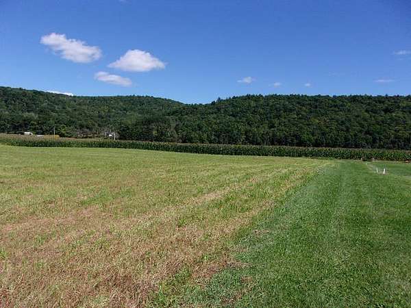 5.6 Acres of Residential Land for Sale in Candor, New York