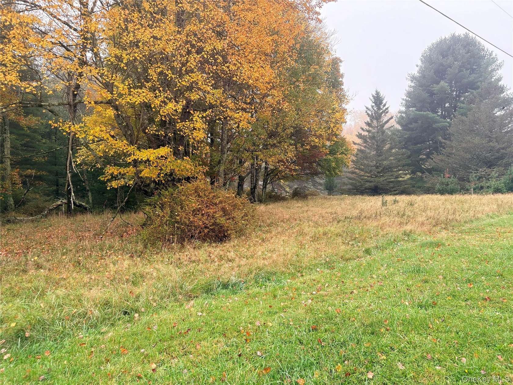 2.18 Acres of Land for Sale in Kauneonga Lake, New York